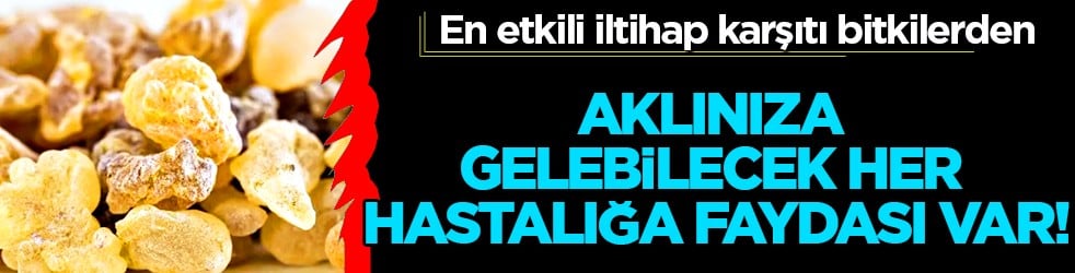 Aklınıza gelebilecek her hastalığa faydası var! Konuyla ilgili uzman isimden heyecanlandıran haber geldi