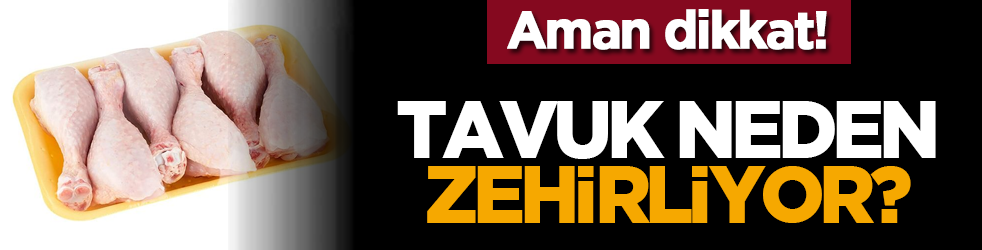 Aman dikkat! Tavuk neden zehirliyor?