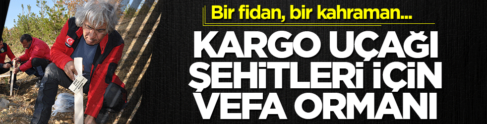 Amasya'da kargo uçağı şehitlerine vefa: 20 askerin adı dikilen fidanlarda yaşayacak