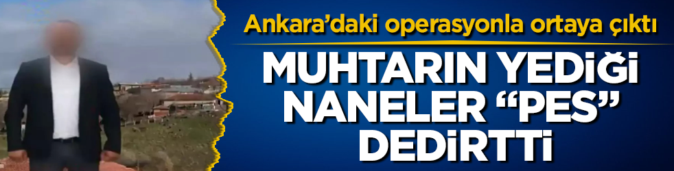 Ankara’daki operasyonla ortaya çıktı! Muhtarın yediği naneler "pes" dedirtti