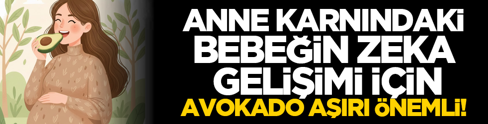 Anne Karnındaki Bebeğin Zekâ Gelişimi İçin Avokado Aşırı Önemli!