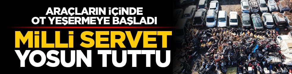 Araçların içinde ot yeşermeye başladı: Milli servet yosun tuttu