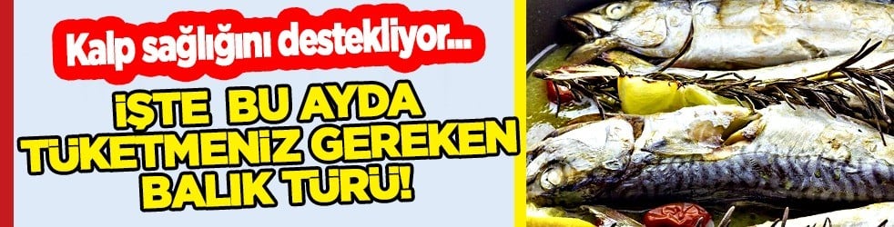Aralık ayında hangi balık yenmeli? Ne zaman balık yenmeli! Bakın ilişkin yeni bilgiler ortaya çıktı