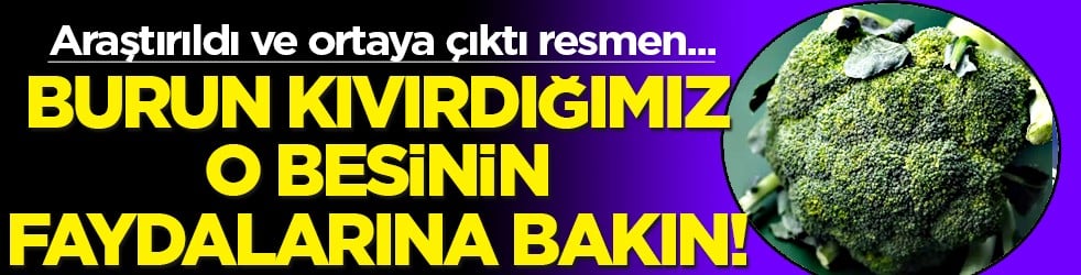 Araştırıldı ve ortaya çıktı! Diğer sebzelerden 7 kat daha faydalı! Bazen burun kıvırdığımız o besine bakın...