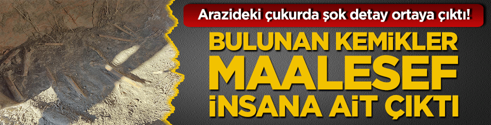 Arazideki çukurda şok detay ortaya çıktı! Bulunan kemikler tüyler ürpertti