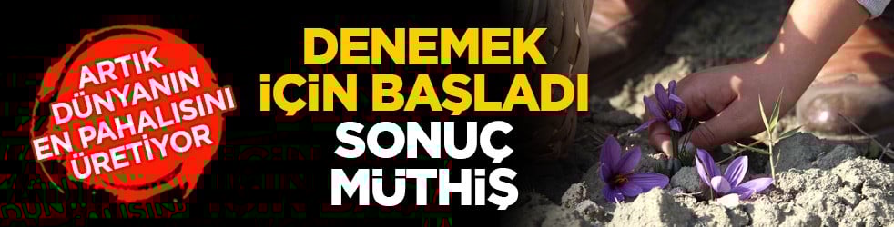 Artık dünyanın en pahalısını üretiyor: Denemek için başladı sonuç müthiş