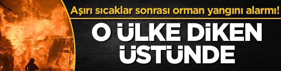 Aşırı sıcaklar sonrası orman yangını alarmı! O ülke diken üstünde