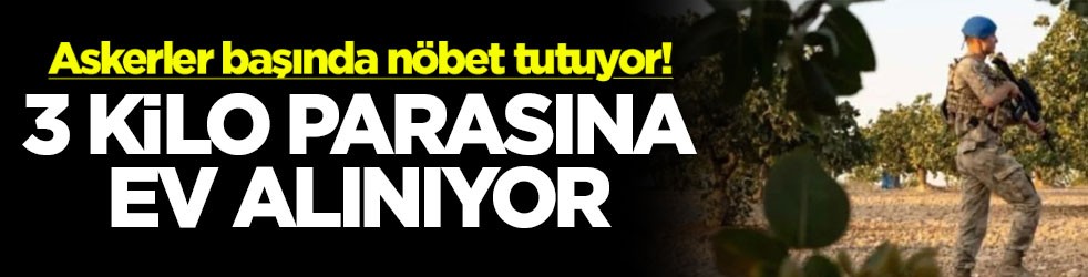 Askerler başında nöbet tutuyor! 3 kilo parasına ev alınıyor