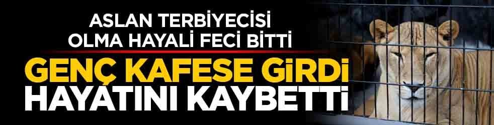 Aslan terbiyecisi olma hayali feci bitti: Brezilya’da genç kafese girdi hayatını kaybetti
