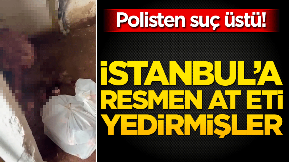 Ataşehir’de korkunç iddia ortaya çıktı! Depoda at kesimi yapanlara operasyon