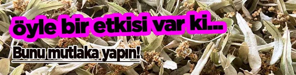 Ateş düşürücü etkisi var: İlaç gibi etkiye sahip, iyi geliyor bunu yapın! Kilosu 4 bin liraya kadar çıkıyor! 1 Yılda 2’ye katlandı