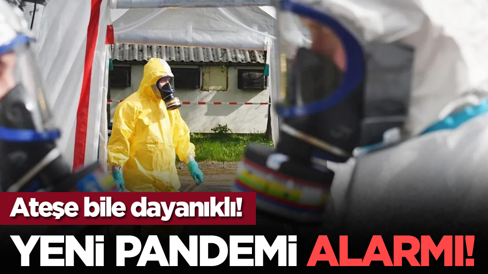Ateşe bile dayanıklı! Yeni pandemi alarmı!