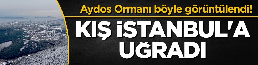 Aydos Ormanı böyle görüntülendi! Kış İstanbul'a uğradı