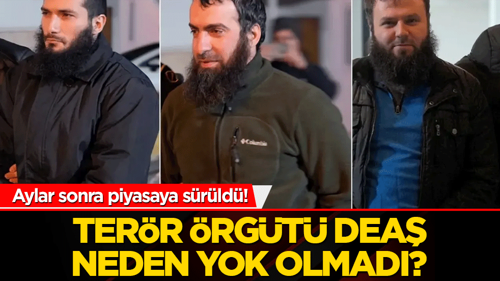 Aylar sonra piyasaya sürüldü! Terör örgütü DEAŞ neden yok olmadı?