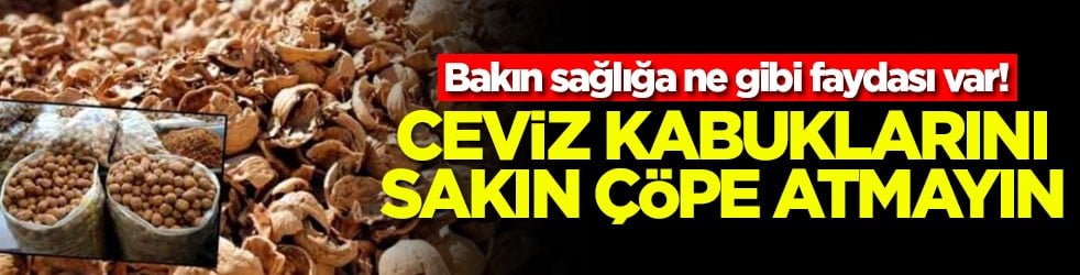 Bakın sağlığa ne gibi faydası var! Ceviz kabuklarını sakın çöpe atmayın