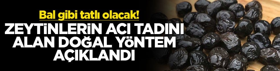 Bal gibi tatlı olacak! Zeytinlerin acı tadını alan doğal yöntem açıklandı