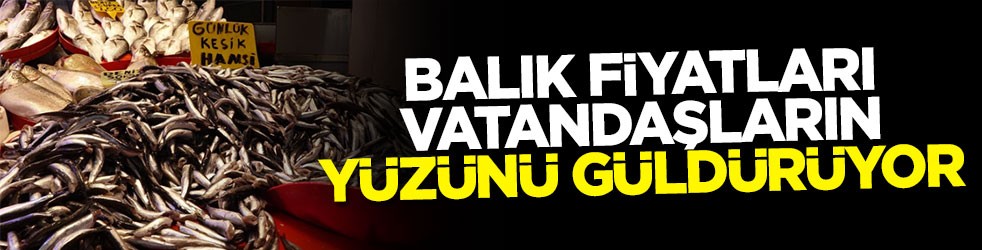 Balık fiyatları vatandaşların yüzünü güldürüyor