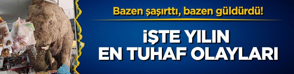 Bazen şaşırttı, bazen güldürdü! İşte yılın en tuhaf olayları