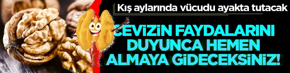 Belli oldu, satır satır not edin: Cevizin faydaları nelerdir? Meğer faydaları buymuş!