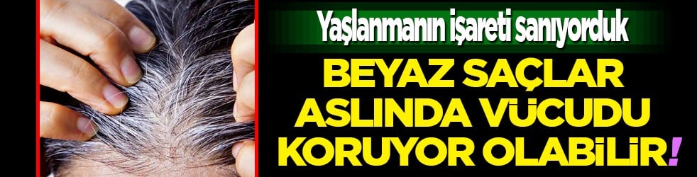 Beyaz saçlar aslında vücudu koruyor olabilir... Yaşlanmanın işareti sanıyorduk oysa ki!
