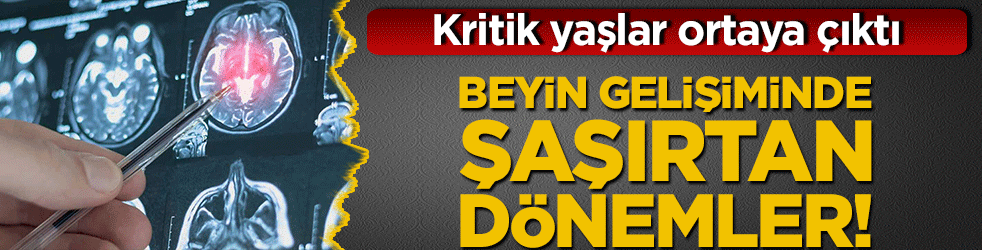 Beyin gelişiminde şaşırtan dönemler! Kritik yaşlar ortaya çıktı