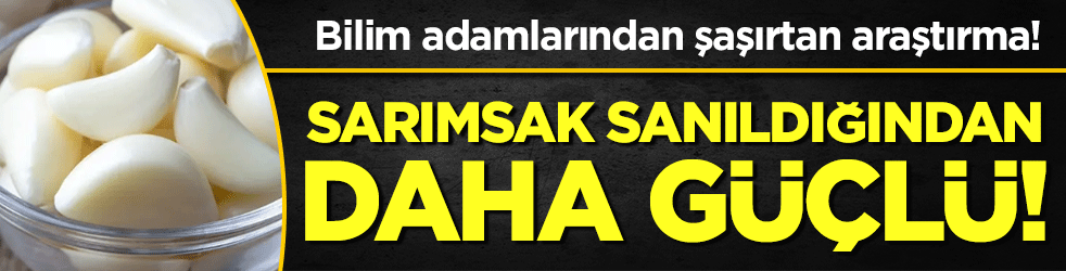 Bilim adamlarından şaşırtan araştırma: Sarımsak sanıldığından daha güçlü!