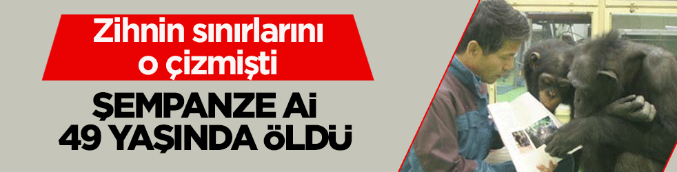 Bilim dünyasında zihnin sınırlarını o çizmişti: Şempanze Ai, 49 yaşında öldü