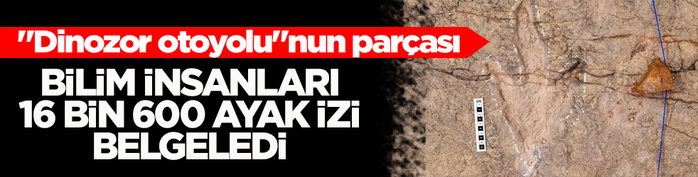 Bilim insanları, dinozorlara ait 16 bin 600 ayak izi belgeledi