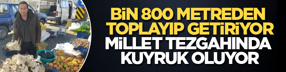 Bin 800 metreden toplayıp getiriyor, millet tezgahında kuyruk oluyor