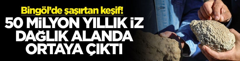 Bingöl’de şaşırtan keşif! 50 milyon yıllık iz dağlık alanda ortaya çıktı