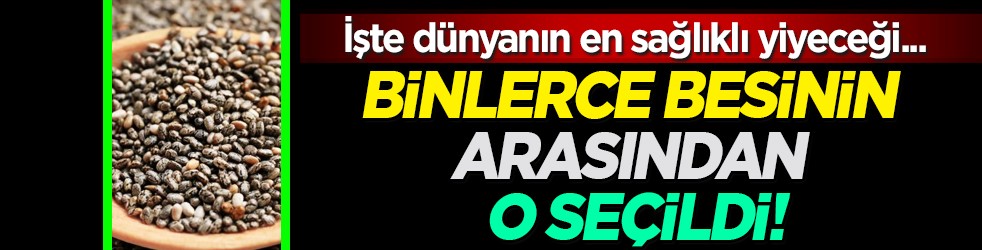 Binlerce besinin arasından o seçildi! Chia tohumu nedir? Dünyanın sağlıklı yiyeceği! Doktoru bile şaşırttı