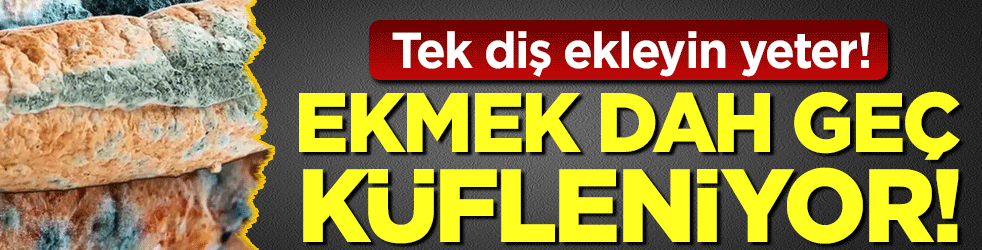 Bir diş ekleyin yeter! Ekmek daha geç küfleniyor!