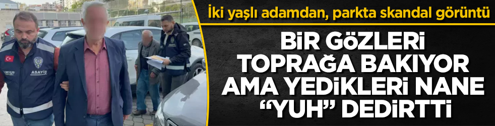 Bir gözleri toprağa bakıyor, ama yedikleri nane "yuh" dedirtti! İki yaşlı adamdan, parkta skandal görüntü