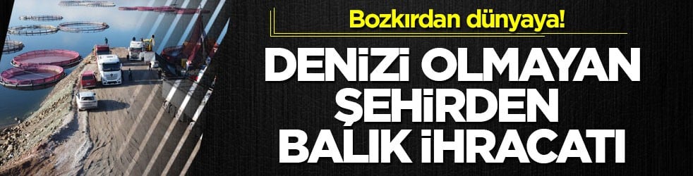 Bozkırdan dünyaya! Denizi olmayan şehirden balık ihracatı
