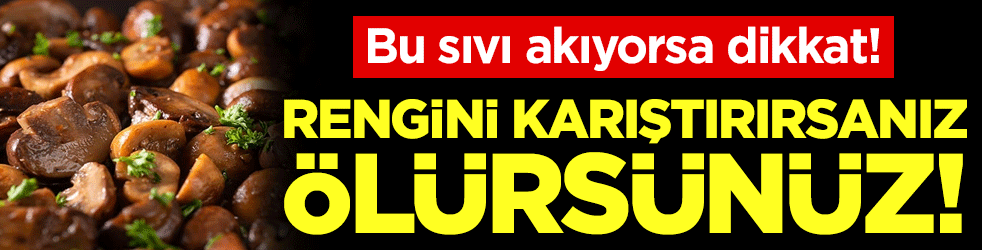Bu sıvı akıyorsa dikkat: Rengini karıştırırsanız ölürsünüz!