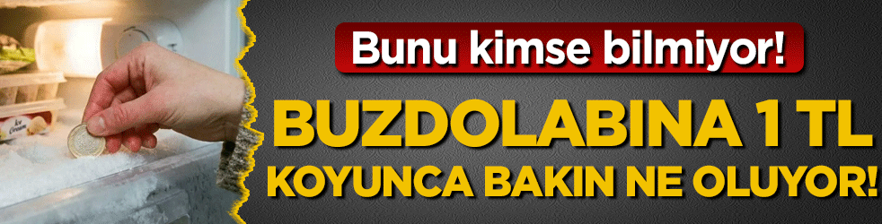 Bunu kimse bilmiyor: Buzdolabına 1 TL koyunca bakın ne oluyor!