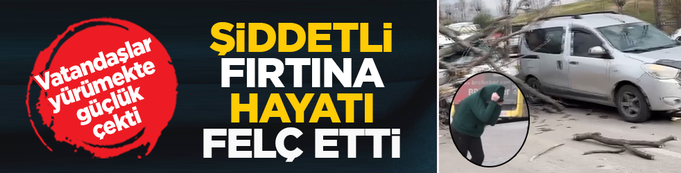 Bursa fırtınaya teslim: Ağaçlar devrildi, vatandaşlar yürümekte güçlük çekti