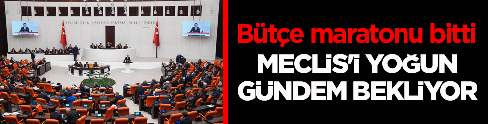 Bütçe maratonu bitti! Meclis'i yoğun gündem bekliyor