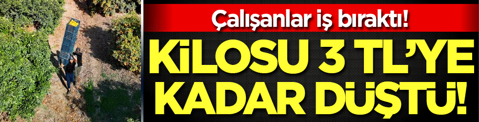 Çalışanlar iş bıraktı: Kilosu 3 liraya kadar düştü!
