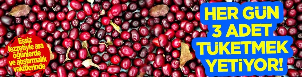 Çelik gibi kemiklerin anahtarı! Her gün 3 adet tüketmek yetiyor... Kemikleri çelik gibi güçlendiriyor