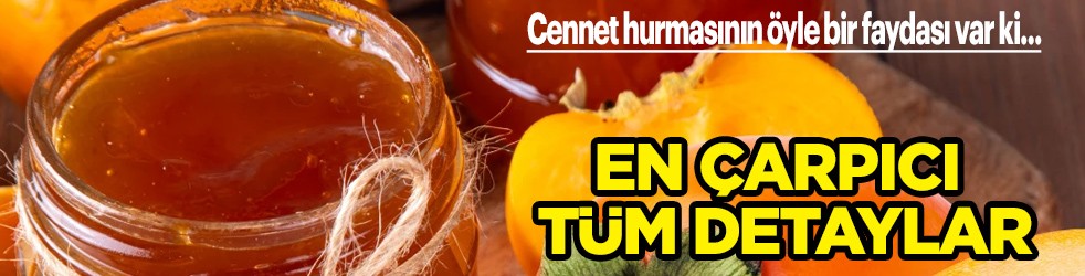 Cennet hurması, eski adıyla kaki büyük öneme sahip: Şu şekilde sindirim sistemini düzenler! Bu bilgi çok önemli şaşırttı 