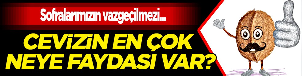Cevizin neye yaradığına çok şaşıracaksınız... Müthiş bir besin kaynağı!