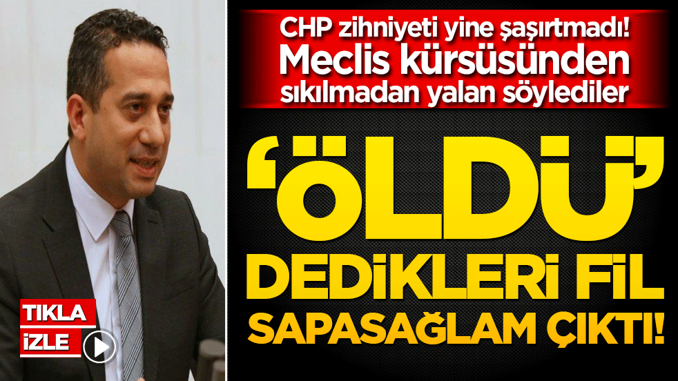 CHP zihniyeti yine şaşırtmadı! Meclis kürsüsünden sıkılmadan yalan söylediler: ‘Öldü’ dedikleri fil sapasağlam çıktı!