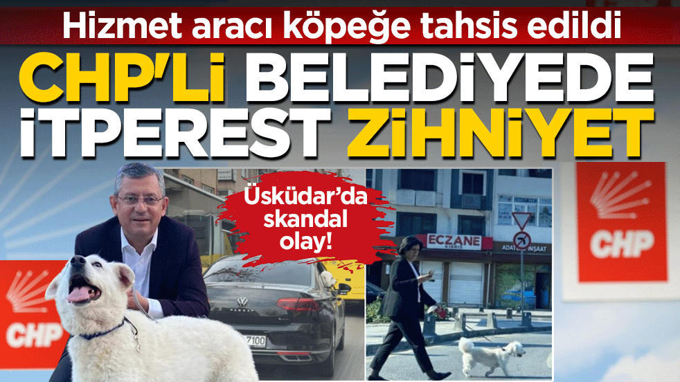 CHP'li belediyede itperest zihniyet: Hizmet aracı köpeğe tahsis edildi