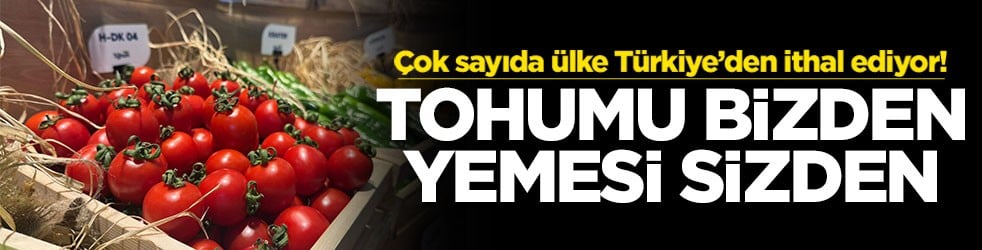 Çok sayıda ülke Türkiye’den ithal ediyor! Tohumu bizden yemesi sizden