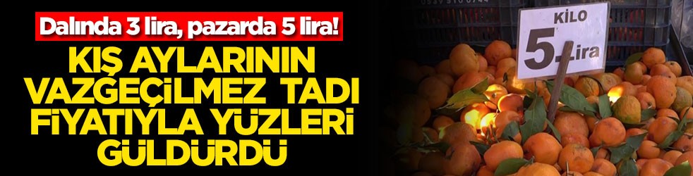 Dalında 3 lira, pazarda 5 lira! Kış aylarının vazgeçilmez tadı fiyatıyla yüzleri güldürdü