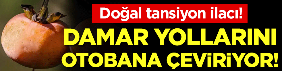 Damar yollarını otobana çeviriyor: Doğal tansiyon ilacı!