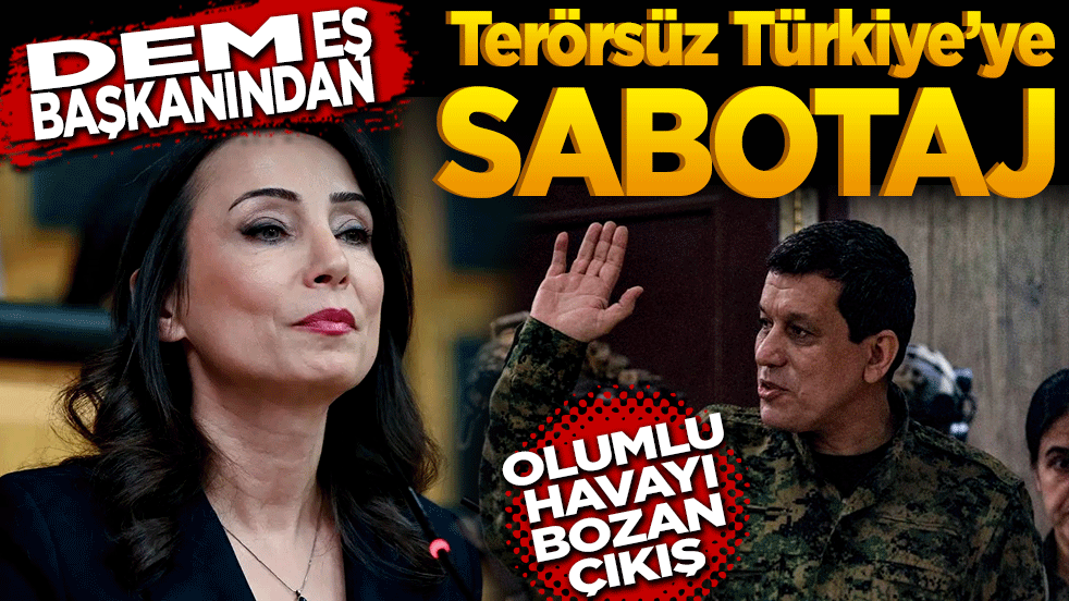 DEM Eş Genel Başkanı’ndan Terörsüz Türkiye’ye sabotaj! Olumlu havayı bozan çıkış