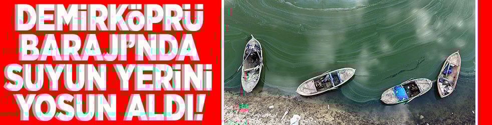 Demirköprü Barajı'nda suyun yerini yosun aldı!