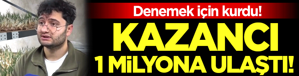 Denemek için kurdu: Kazancı 1 milyona ulaştı!